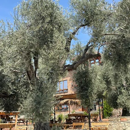 Bujtina Ajazi Голем