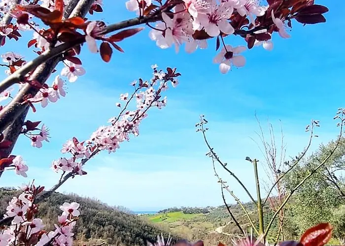 Affittacamere Bujtina Ajazi Golem (Tirana)