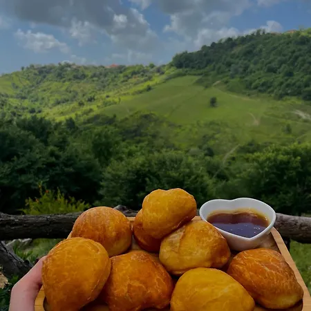 Bujtina Ajazi Πανσιόν