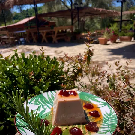 Gæstehus Bujtina Ajazi