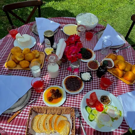 Bujtina Ajazi Πανσιόν Golem (Tirana)