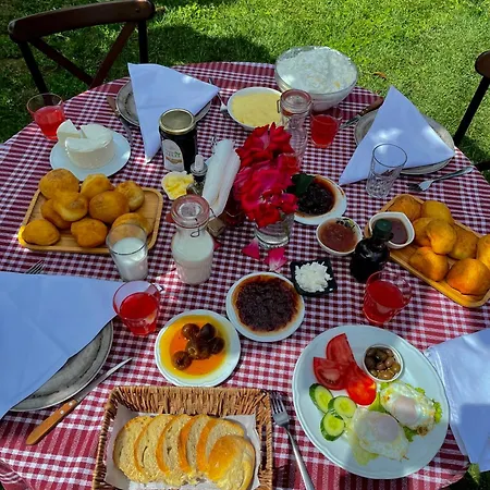 Bujtina Ajazi Guest house Golem (Tirana)
