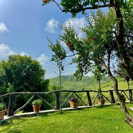 Guest house Bujtina Ajazi