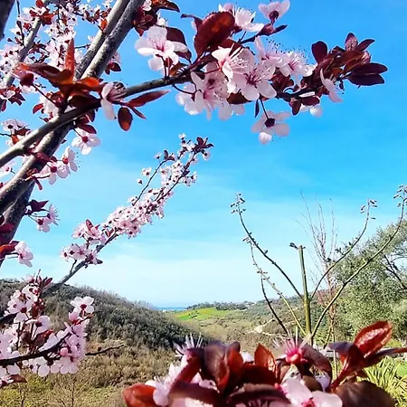 Gæstehus Bujtina Ajazi Golem (Tirana)
