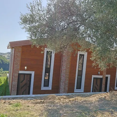 Bujtina Ajazi 3*
