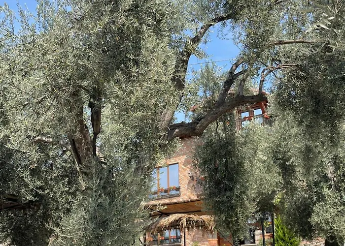 Bujtina Ajazi Golem (Tirana)